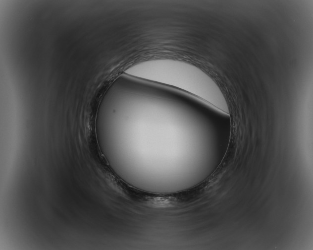 X0000086000566200703230851
