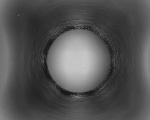 X0000086000567200703230851