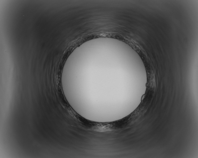 X0000086000569200703230851