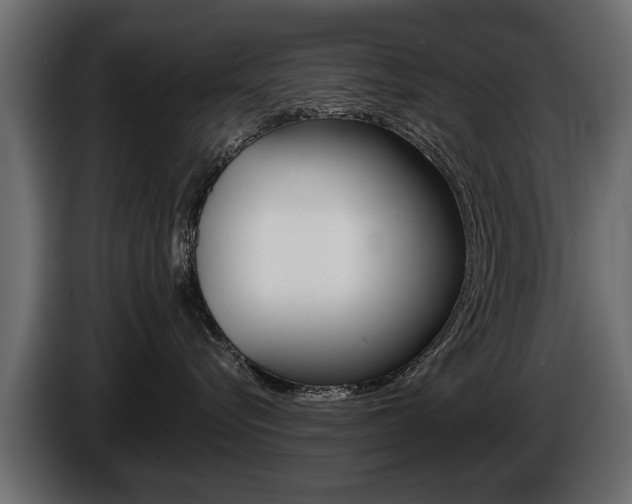 X0000086000576200703230852
