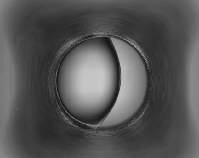 X0000086000577200703230851