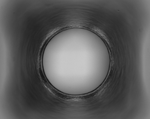 X0000086000578200703230851