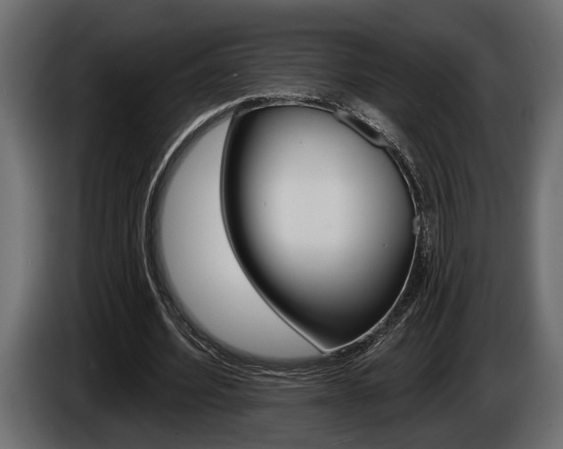 X0000086000580200703230851