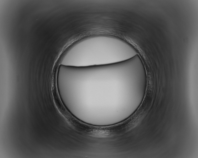 X0000086000582200703230851