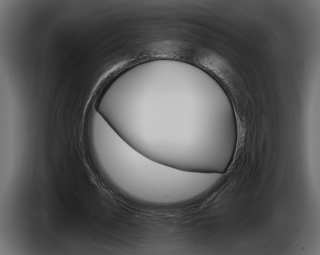 X0000086000583200703230851