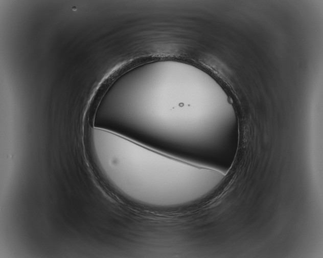 X0000086000584200703230851