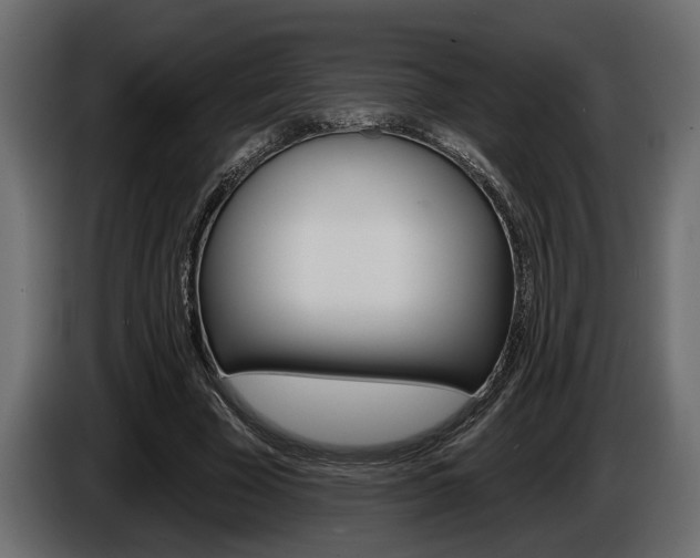 X0000086000585200703230851