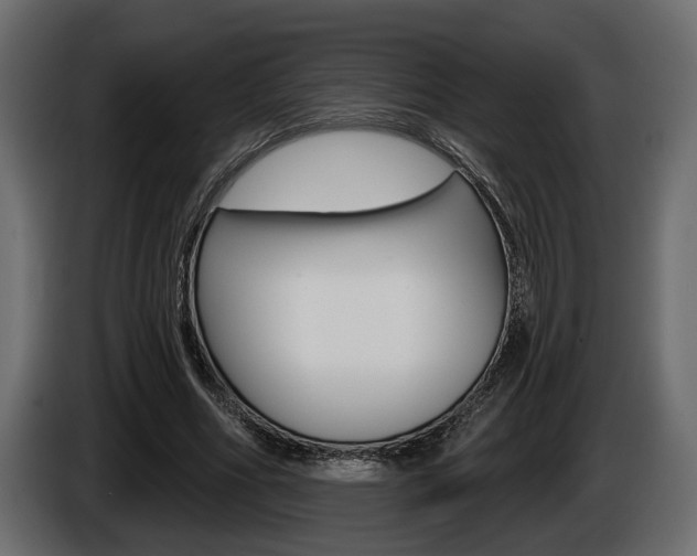 X0000086000586200703230851