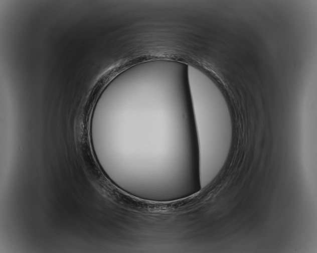 X0000086000587200703230851