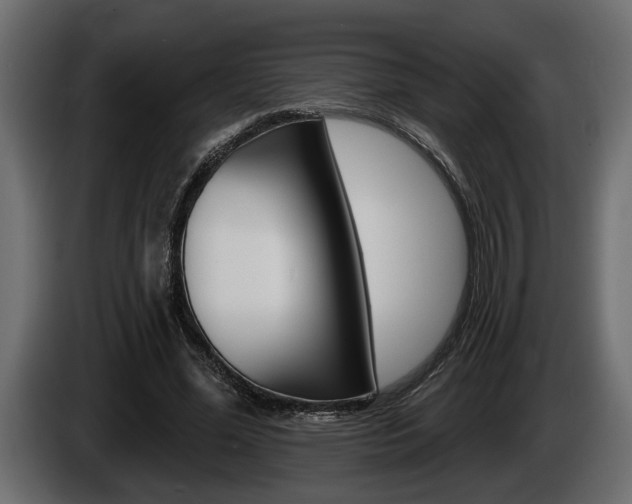 X0000086000588200703230851