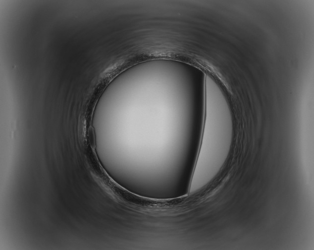 X0000086000589200703230851