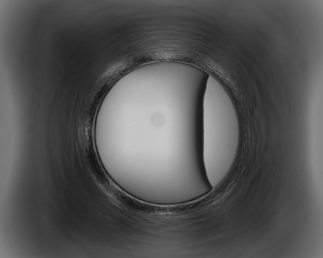 X0000086000590200703230851