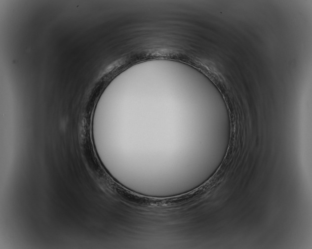 X0000086000591200703230851