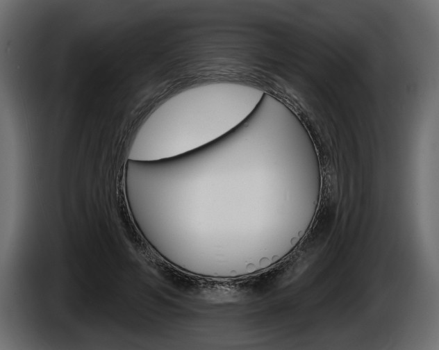 X0000086000594200703230851