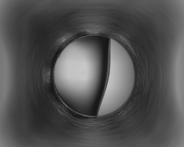 X0000086000596200703230851