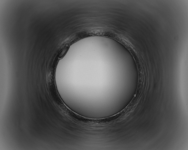 X0000086000597200703230851