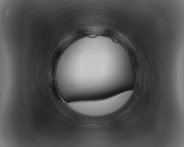 X0000086000599200703230851