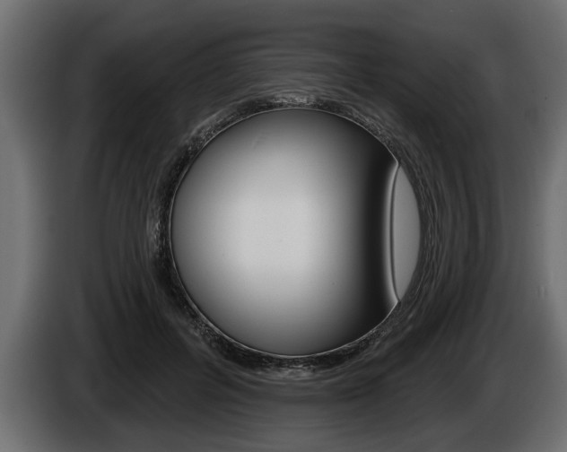 X0000086000600200703230851