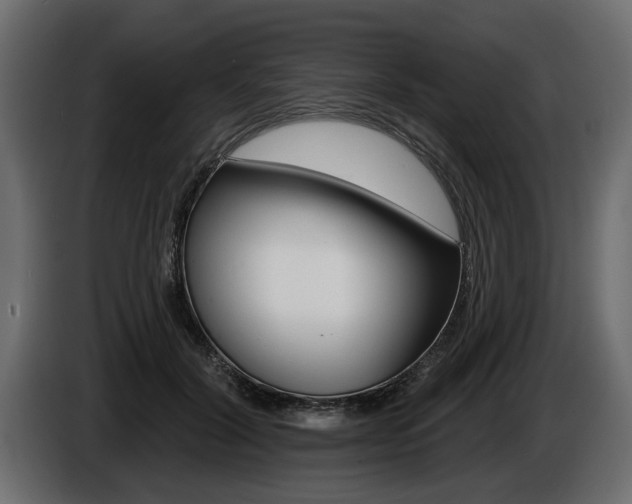 X0000086000604200703230851