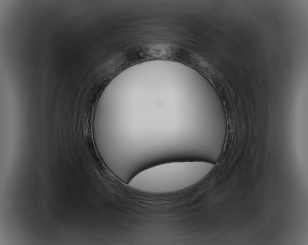 X0000086000606200703230851