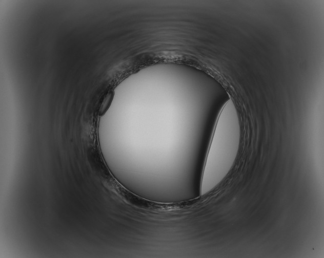 X0000086000609200703230850