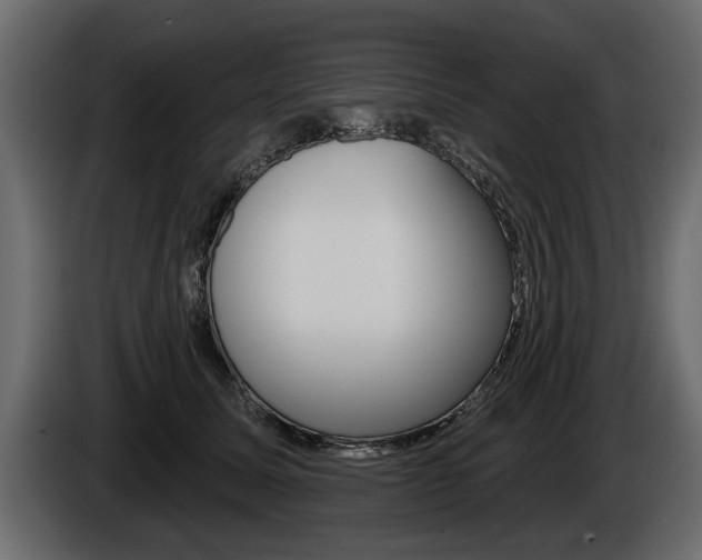 X0000086000611200703230850