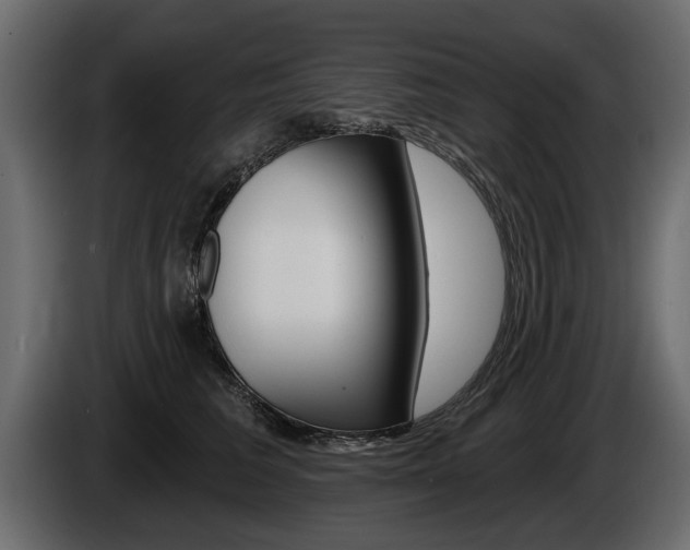 X0000086000613200703230850