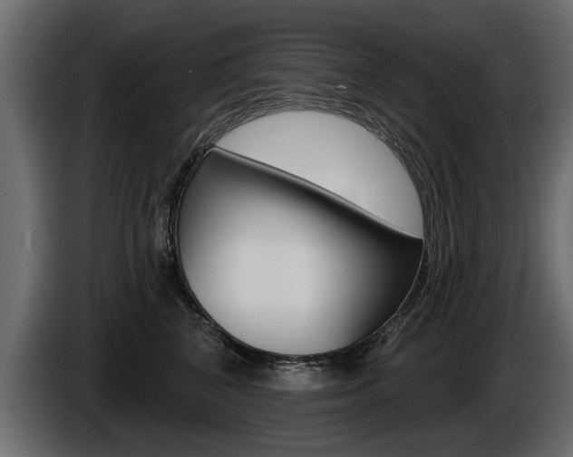 X0000086000616200703230850