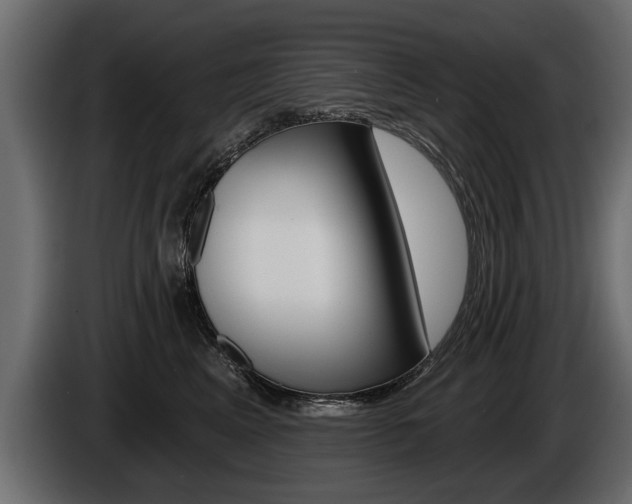 X0000086000617200703230850