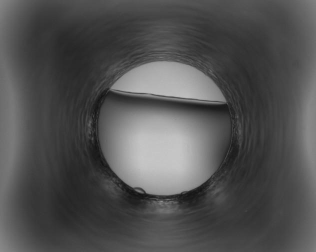 X0000086000619200703230850