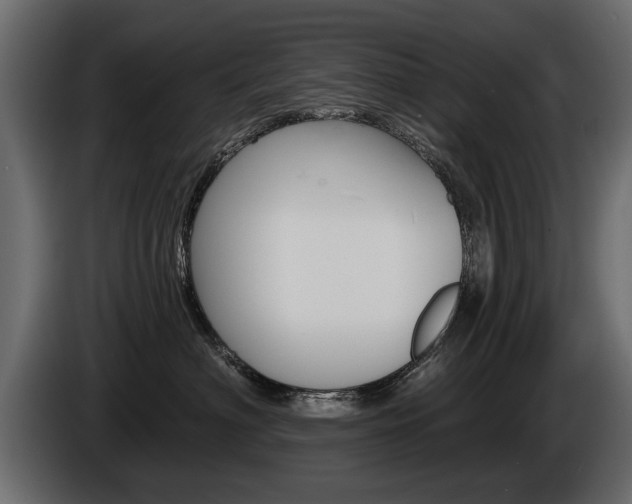 X0000086000622200703230850