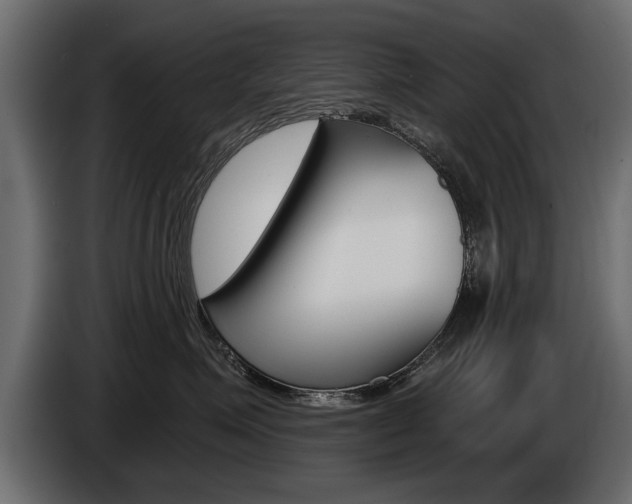 X0000086000623200703230850