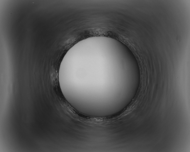 X0000086000624200703230850