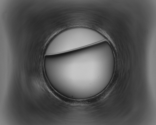 X0000086000625200703230850