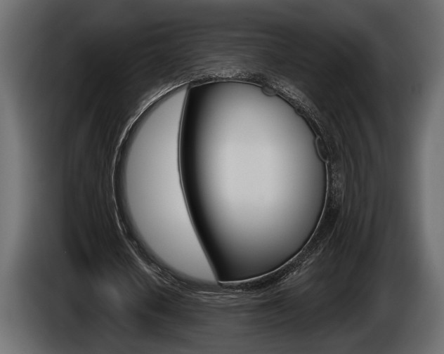 X0000086000626200703230850