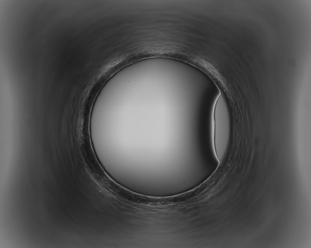 X0000086000627200703230850