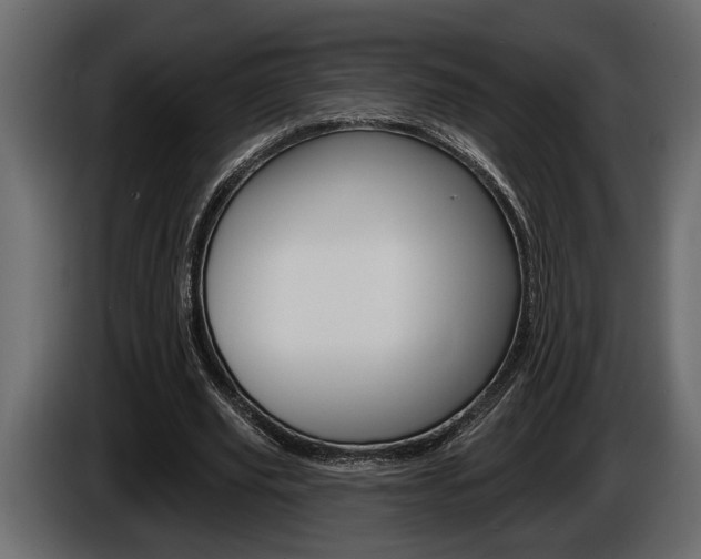 X0000086000629200703230850