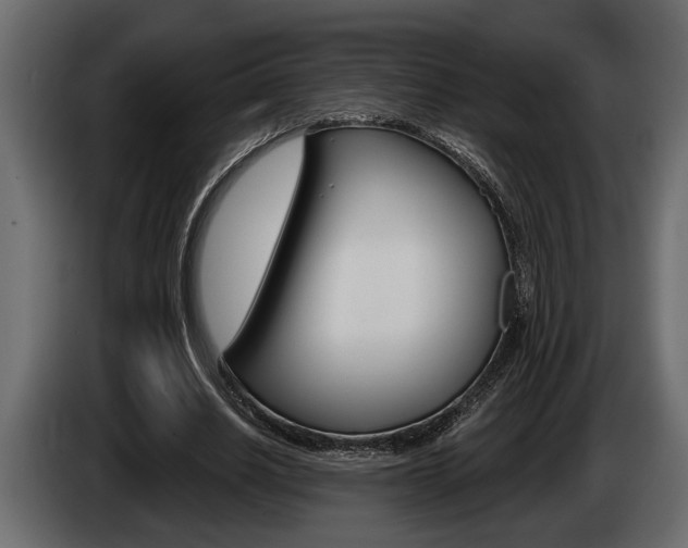 X0000086000630200703230850