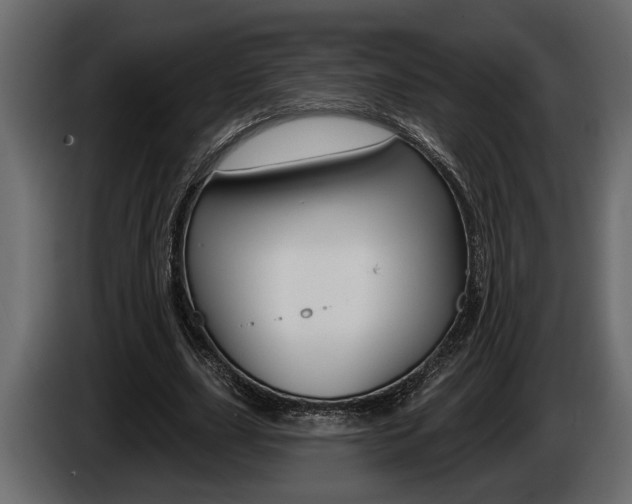 X0000086000631200703230850