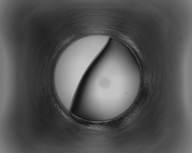 X0000086000633200703230850
