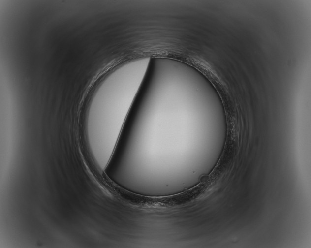 X0000086000634200703230850