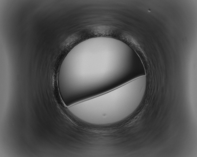 X0000086000637200703230850