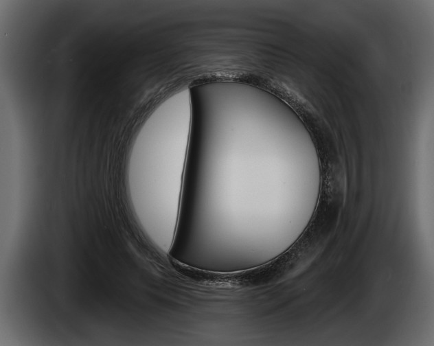 X0000086000639200703230850