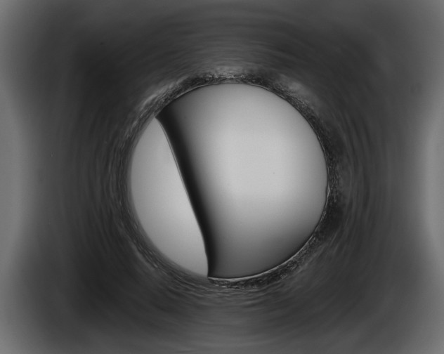 X0000086000640200703230850