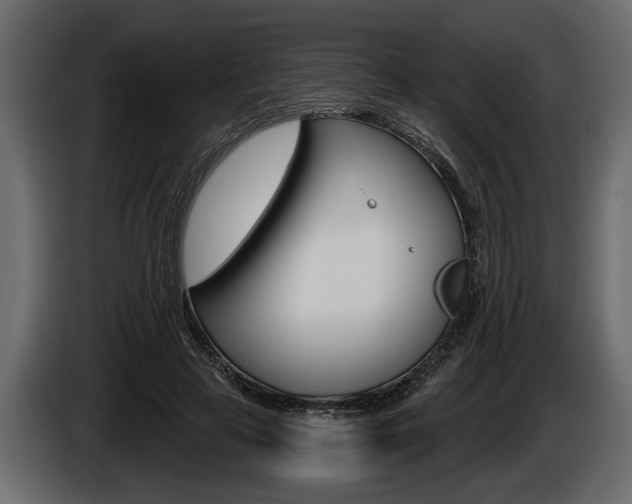 X0000086000641200703230850