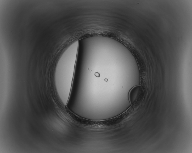 X0000086000642200703230850