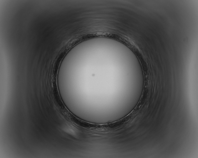 X0000086000643200703230850