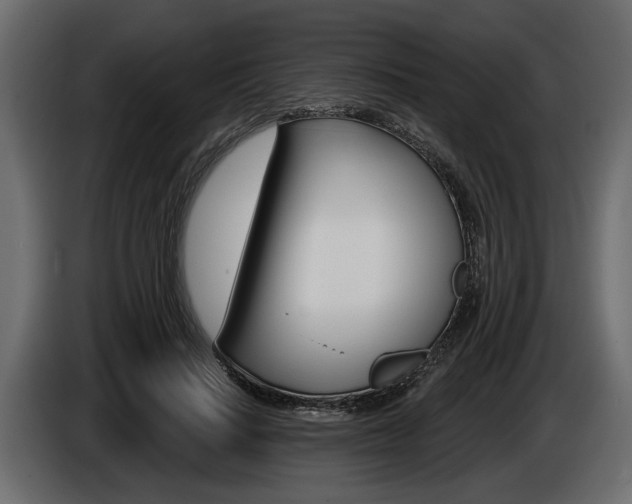 X0000086000644200703230850