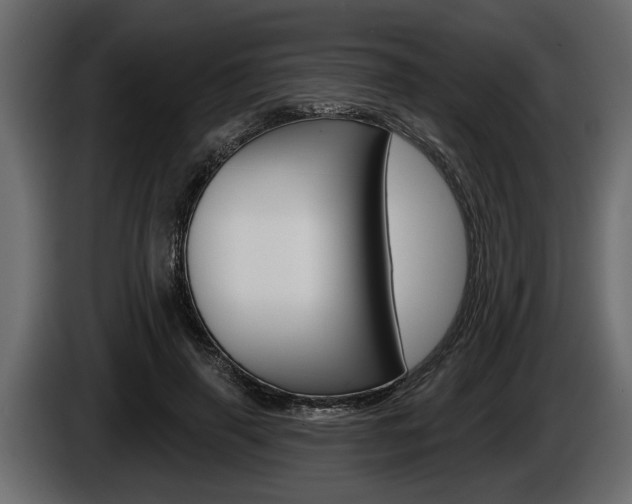 X0000086000645200703230850