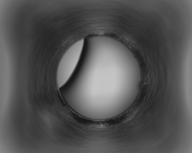 X0000086000646200703230850